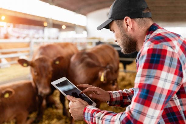 The Ranch Records Lenders, Buyers, and Vets Actually Want to See