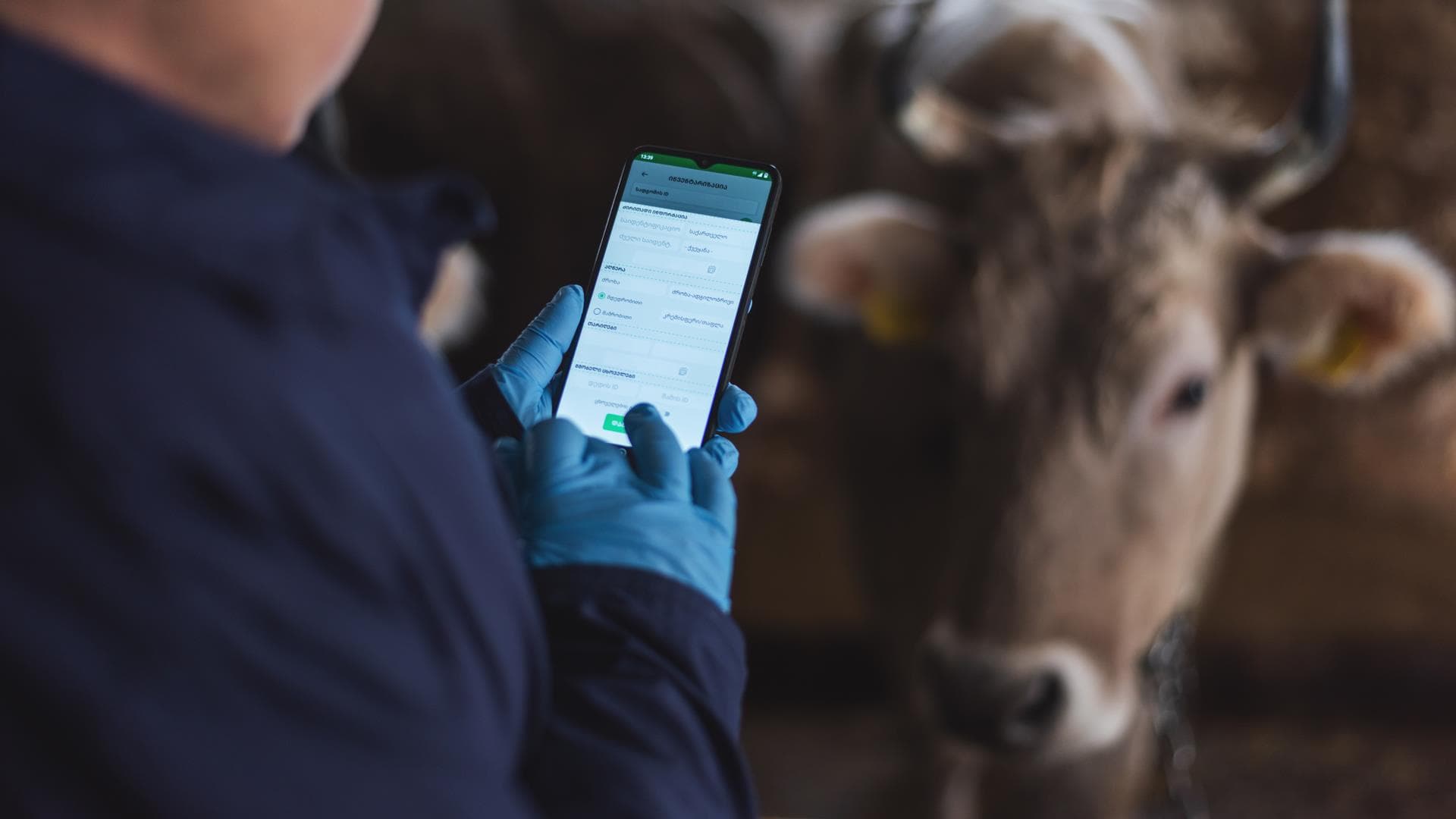 Voice AI on the Ranch: Why Talking Beats Typing for Cattle Records