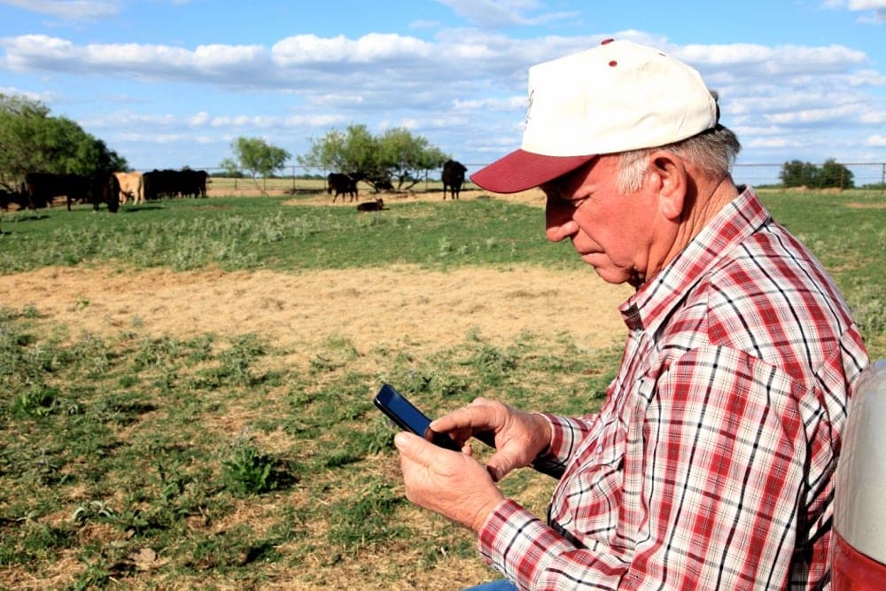 How to Choose Cattle Management Software: 7 Features That Actually Matter