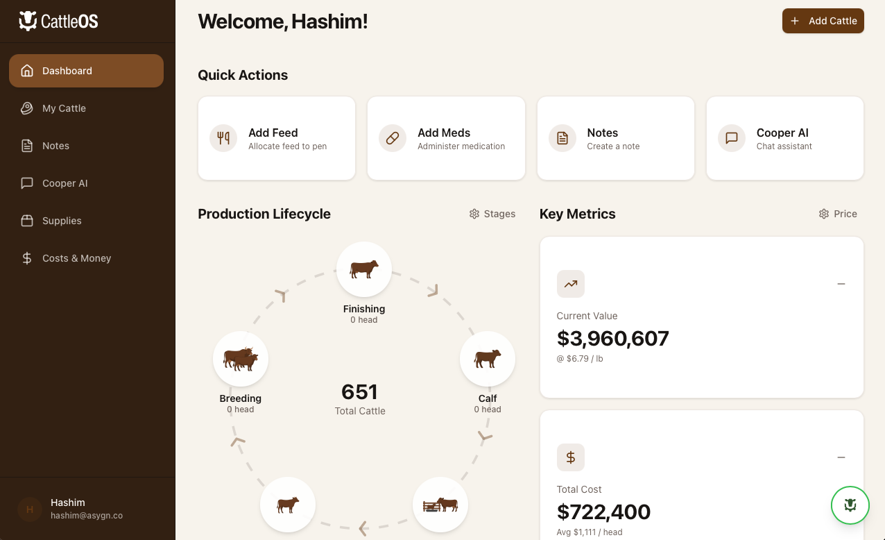 Voice command interface